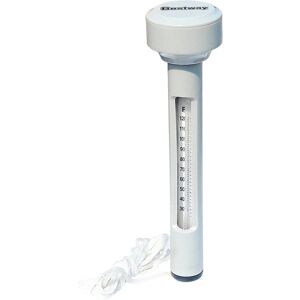 Bestway Termometro galleggiante per piscina