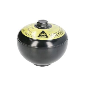 Bosch Elettronica ABS 0 265 202 070