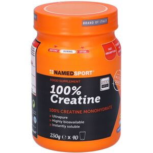 NAMEDSPORT Srl Named Sport - 100% Creatine 250g - Integratore di creatina per aumentare la performance atletica