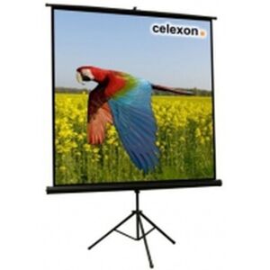 Celexon 1090016 schermo per proiettore 1:1 (1090016)