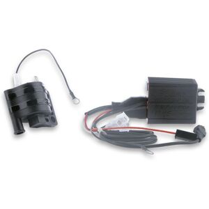 Centralina Elettronica Tc Unit Rpm Control K15 Completa Di Bobina Malossi Piaggio Zip Sp 50 2t Lc 2001+