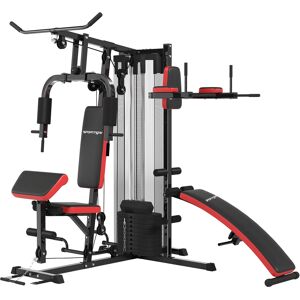 Sportnow Stazione Fitness Multifunzione con pesi per tutto il corpo, Allenamento del Corpo in Acciaio e PU, 225x175x200 cm, Nero   Aosom Italy