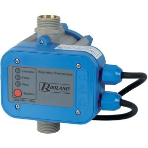 Ribimex PRPCONTROLP Acqua control+ con regolatore elettronico