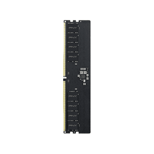 PNY MEMORIA RAM  DDR5 Performance 8GB