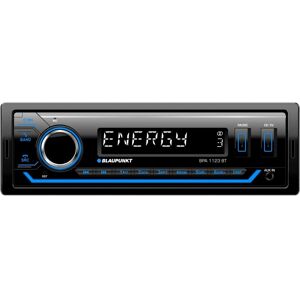 Blaupunkt 2 001 022 000 000 Autoradio