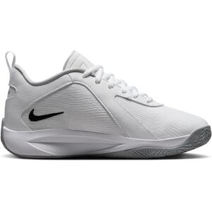 Nike Giannis Freak 6 Bianco Grigio Scarpe Basket Bambino EUR 38 / US 5.5Y