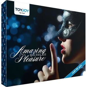 Kit Sex Toys Toyjoy — 8 Accessori, Vibratore e Plug Anale