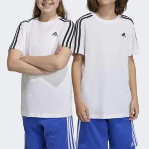 Adidas T-shirt Adidas Junior Essentials 3-Stripes Cotton da Bambino rif. IC0605