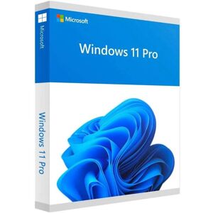 Microsoft WINDOWS 11 PROFESSIONAL