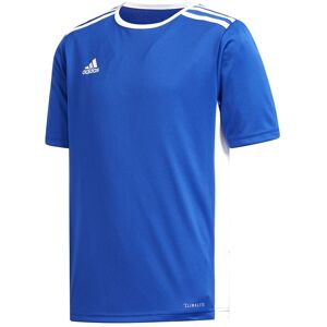 ADIDAS maglia calcio entrada 18 team blu royal bianco bambino 5-6 Anni