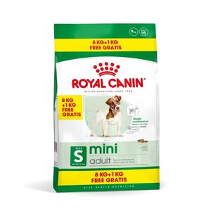 ROYAL CANIN Mini Adult Alimento Completo per Cani Adulti di Piccola Taglia 8+1KG