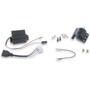 Centralina Elettronica Tc Unit K15 Completa Di Bobina Malossi Aprilia Scarabeo Street 50 2t (Piaggio)