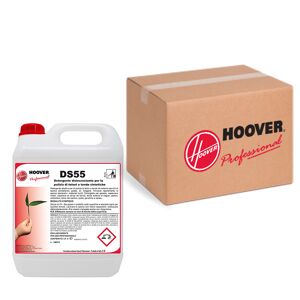 Hoover Scatola 2 taniche detergente disincrostate per pulizia teloni 5 litri