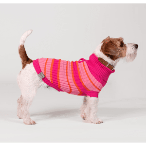AniOne Dog Maglione Little&Trendy Lia 24CM