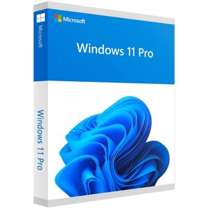 Microsoft Windows 11 Professional