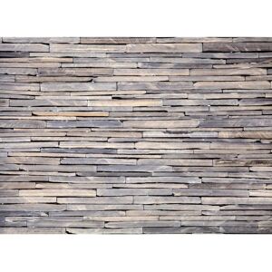 Crearreda Paraschizzi cucina adesivo Stone 47x65 cm