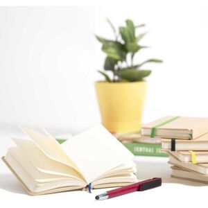 Block Notes Raimok A5 con Penna Parker Oro, Elegante Set Regalo Personalizzate o neutre
